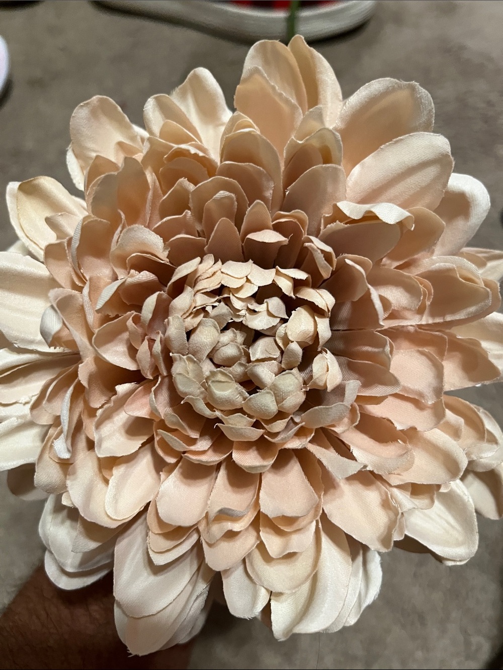 Hearth & Hand Light Pink Faux Chrysanthemum Stems - Home Accents - Picture 4 of 4